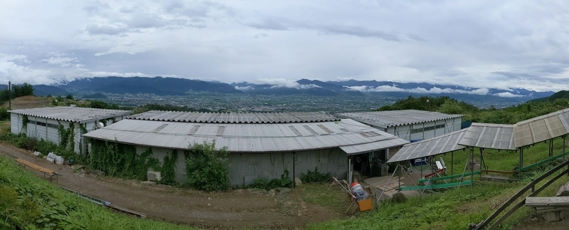 f:id:watasihasitujidesu:20190630150444j:plain