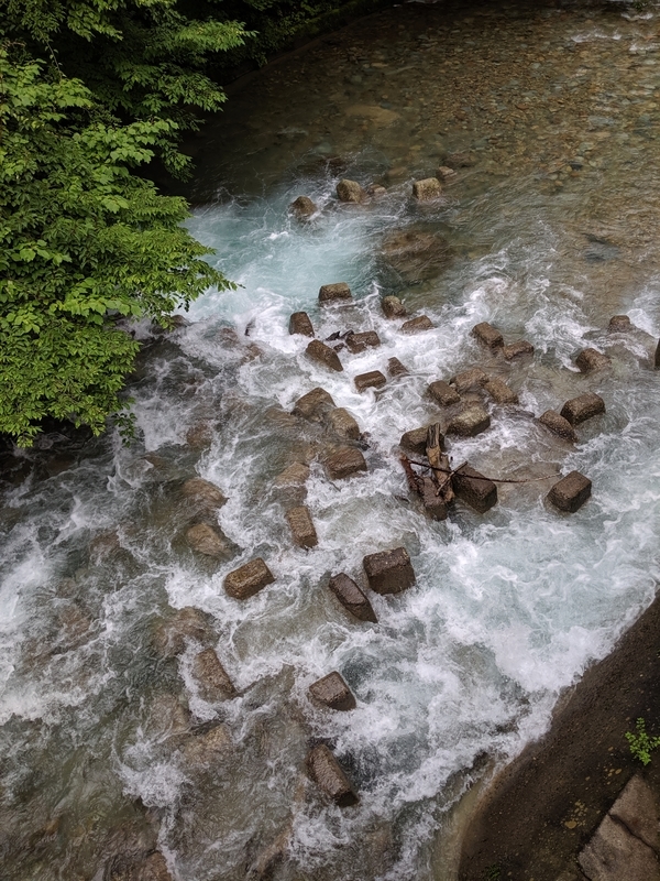 f:id:watasihasitujidesu:20190716135910j:plain