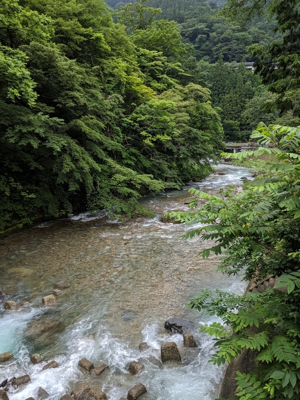 f:id:watasihasitujidesu:20190716135913j:plain