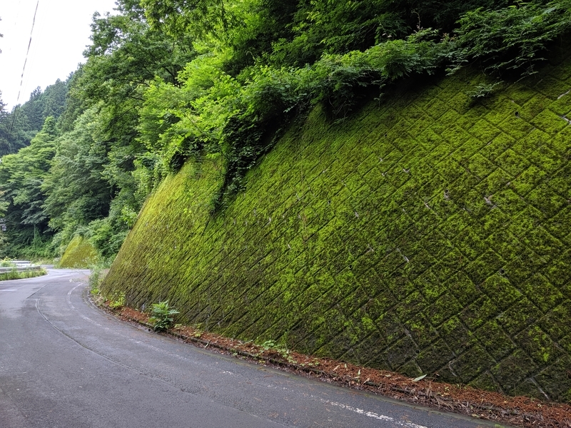 f:id:watasihasitujidesu:20190716140201j:plain