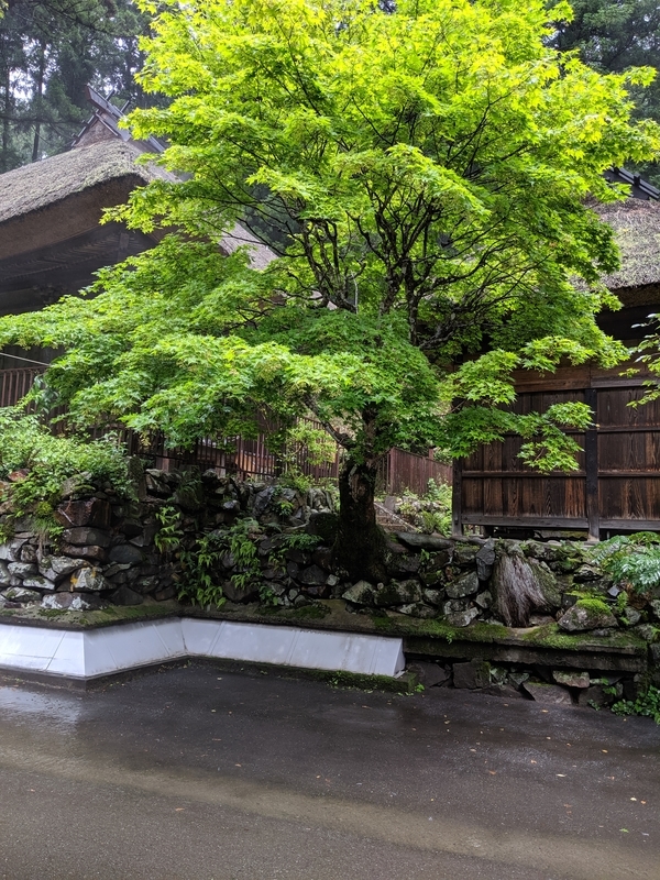 f:id:watasihasitujidesu:20190717120326j:plain