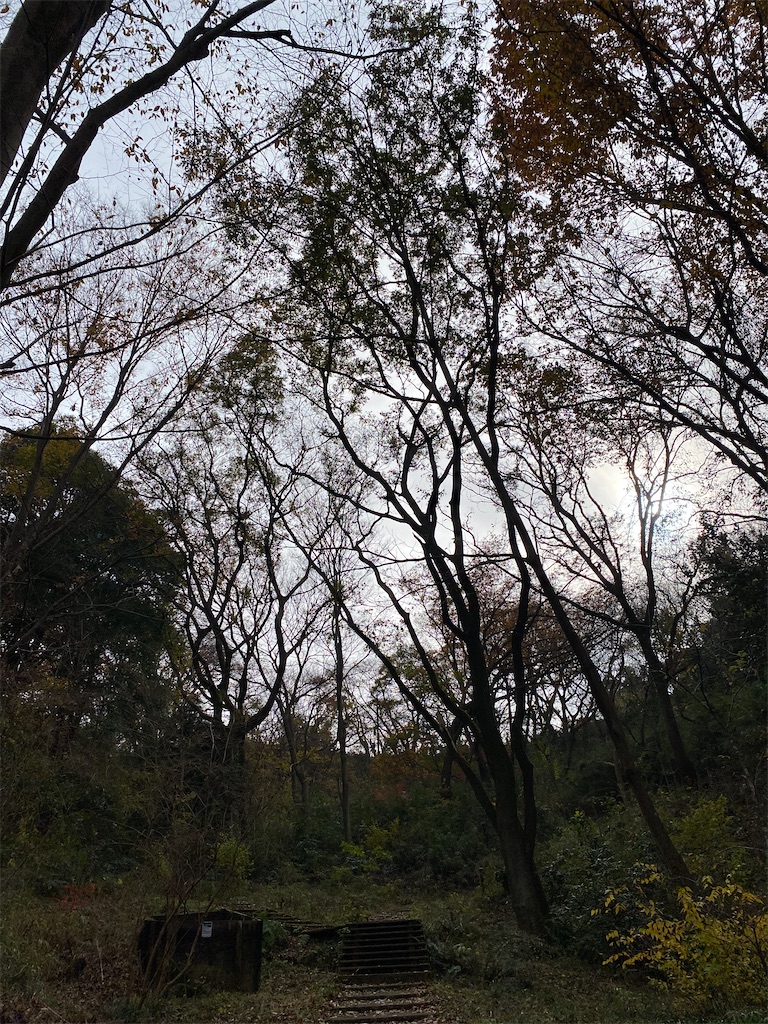 f:id:watasikatsudo39:20201210224805j:image