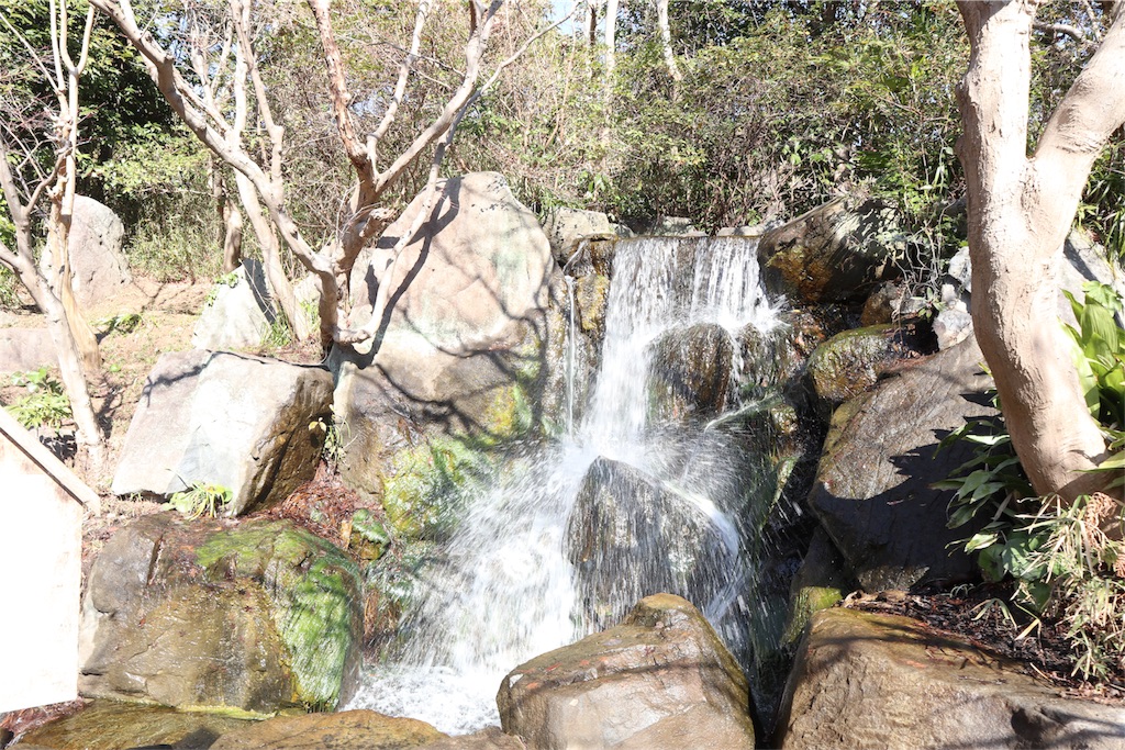 f:id:watasirasiku:20190207114206j:image f:id:watasirasiku:20190207114206j:image