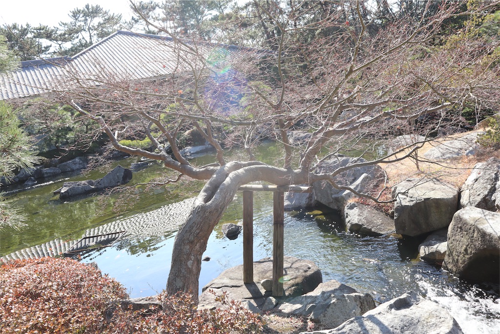 f:id:watasirasiku:20190207114357j:image f:id:watasirasiku:20190207114357j:image