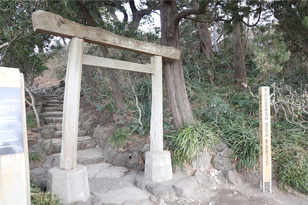 f:id:watasirasiku:20190208094408j:image f:id:watasirasiku:20190208094408j:image