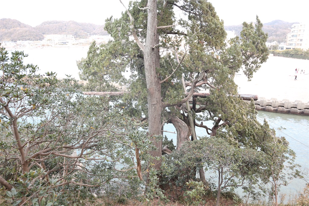 f:id:watasirasiku:20190208094652j:image f:id:watasirasiku:20190208094652j:image