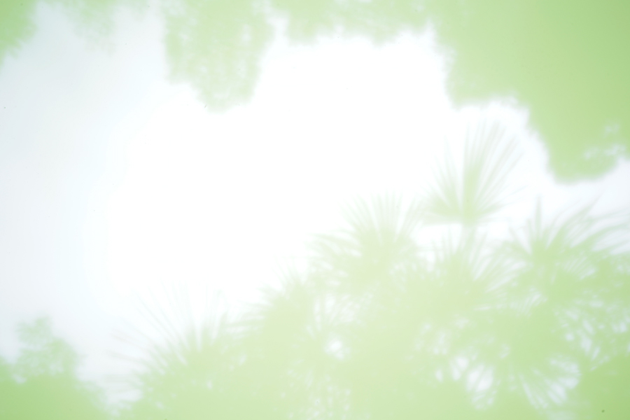 f:id:watayamamo:20160703232923j:image