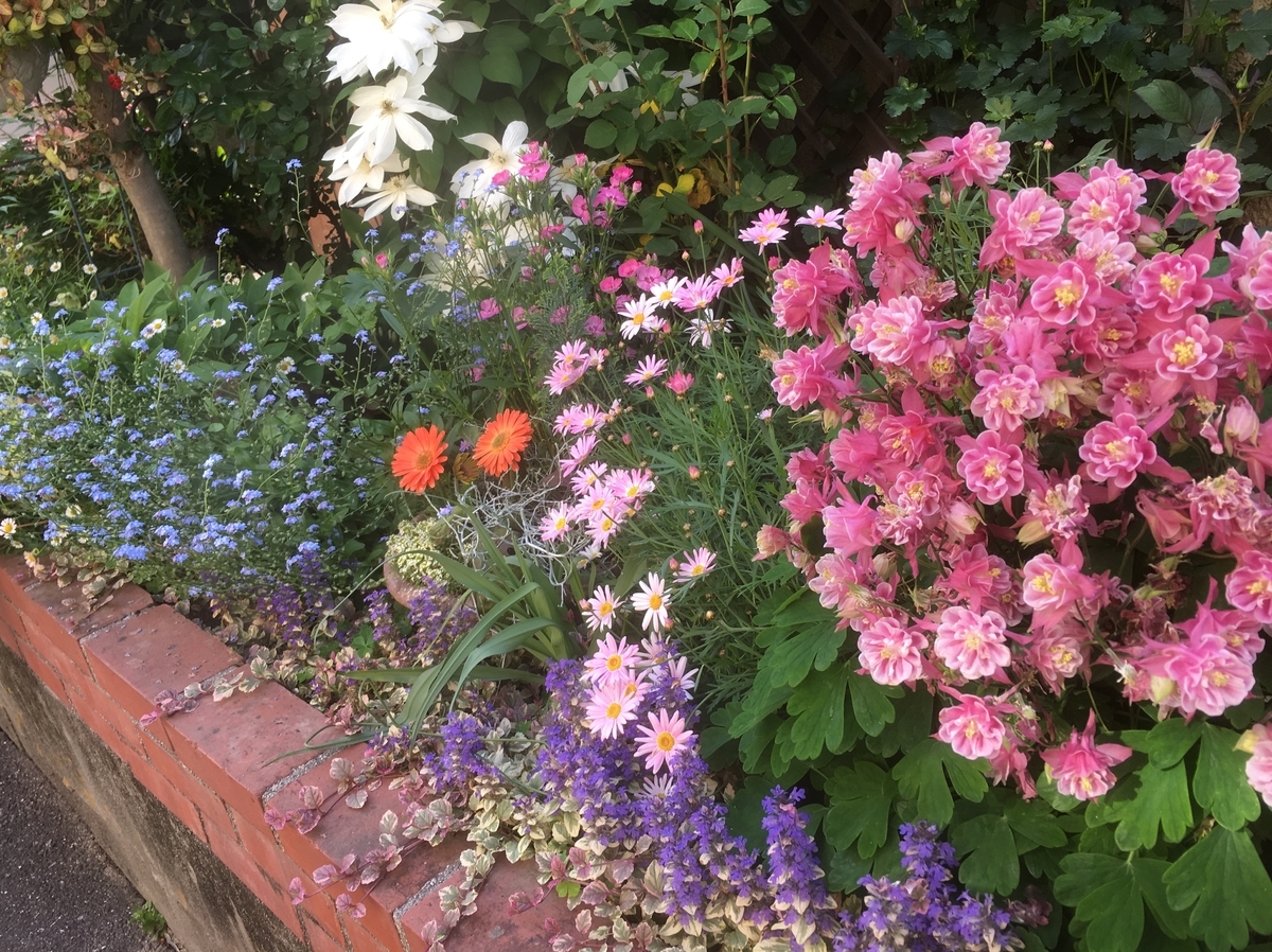 f:id:watayuka0000:20190503105447j:plain