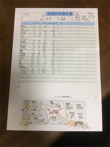 f:id:watayuka0000:20190711222044j:plain f:id:watayuka0000:20190711222044j:plain
