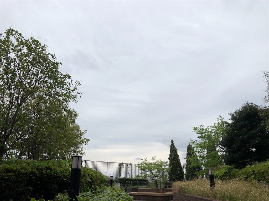 f:id:watayuka0000:20200503171929j:image