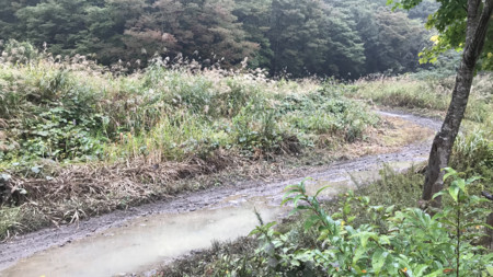 f:id:water-moon:20171026235707j:image