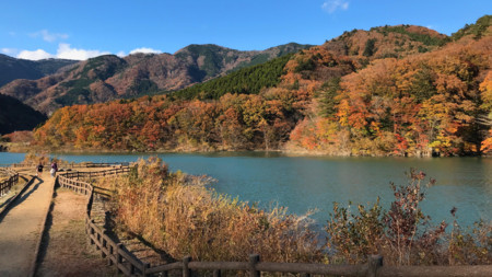 f:id:water-moon:20171117065638j:image