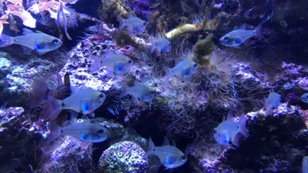 f:id:water-moon:20180119002327j:image