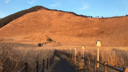 f:id:water-moon:20181221023134j:plain