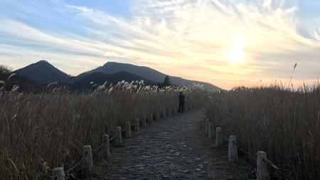 f:id:water-moon:20181221023152j:plain