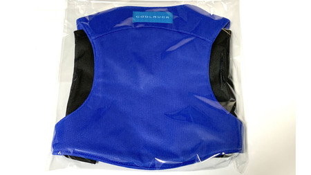 f:id:water-moon:20200730234352j:plain