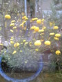 20100416090442