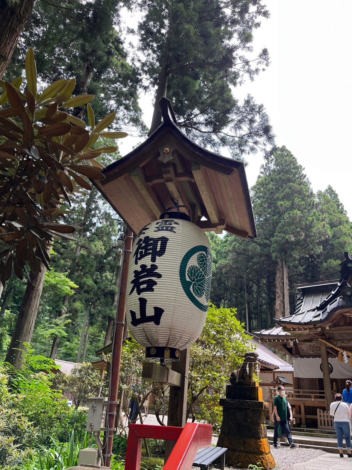 f:id:water_imp:20220808223554j:image f:id:water_imp:20220808223554j:image