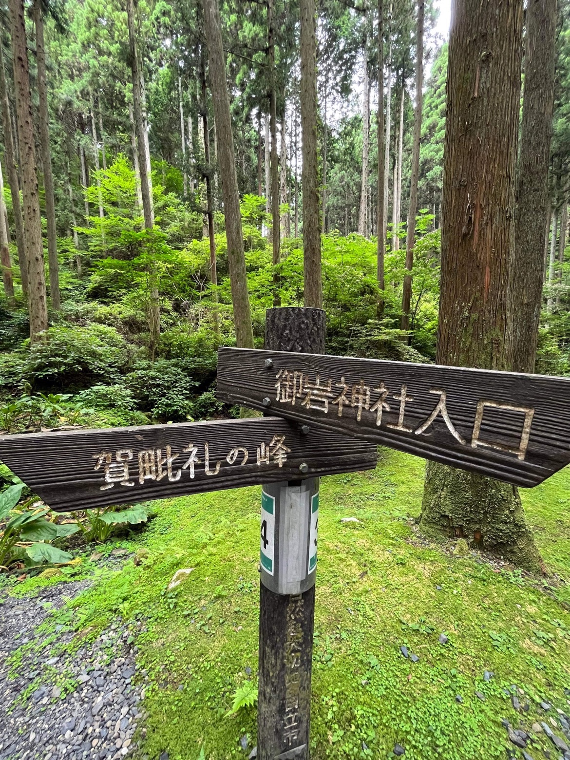 f:id:water_imp:20220808223559j:image f:id:water_imp:20220808223559j:image