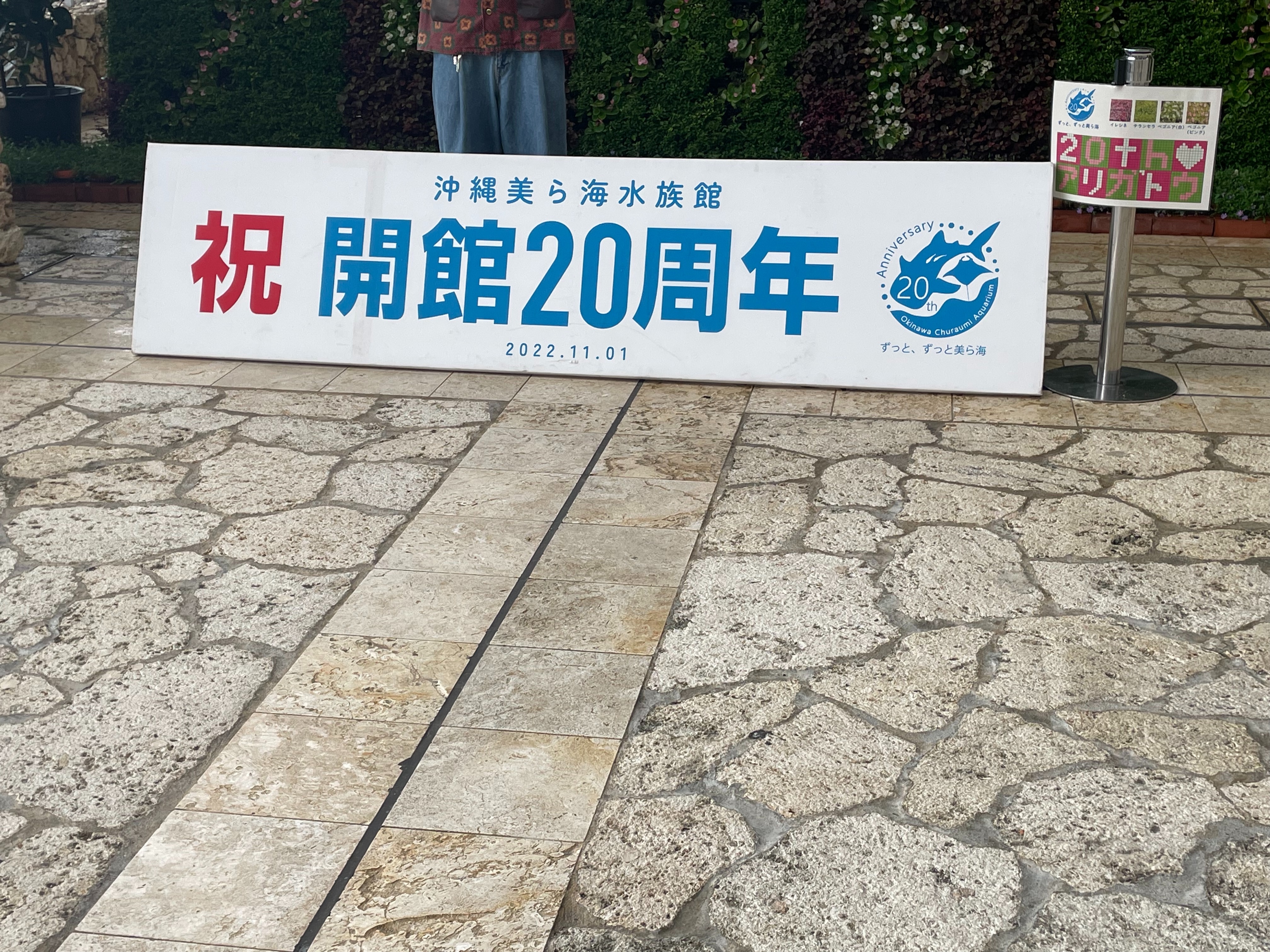 f:id:water_imp:20221119180422j:image f:id:water_imp:20221119180422j:image