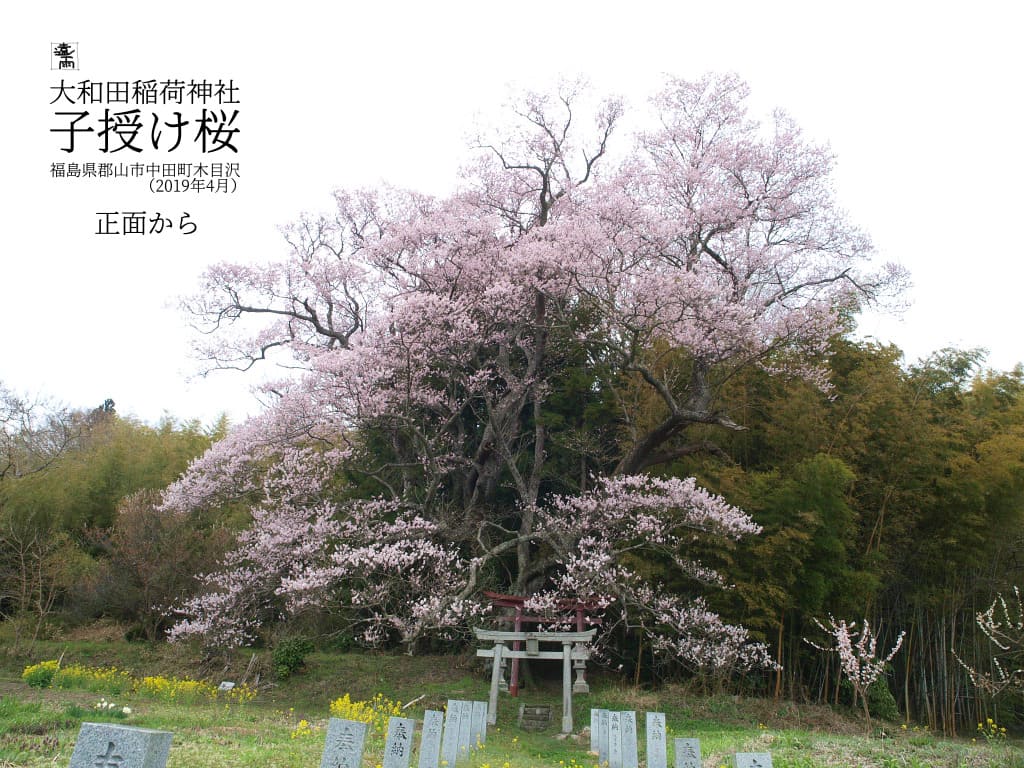 f:id:water_sky:20200407123350j:plain f:id:water_sky:20200407123350j:plain