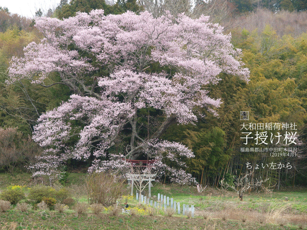 f:id:water_sky:20200407132424j:plain f:id:water_sky:20200407132424j:plain