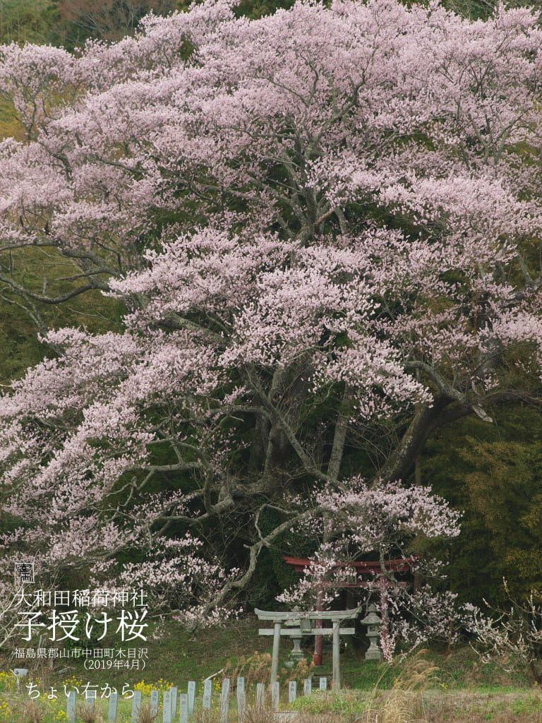 f:id:water_sky:20200407134227j:plain f:id:water_sky:20200407134227j:plain