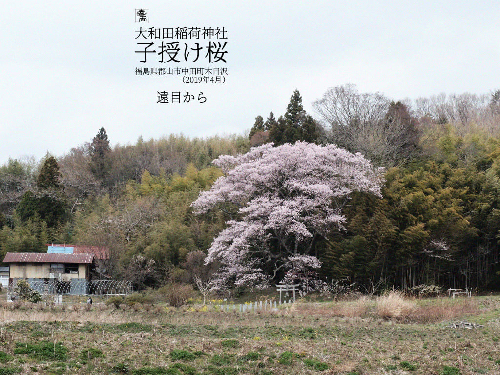 f:id:water_sky:20200407135409j:plain f:id:water_sky:20200407135409j:plain