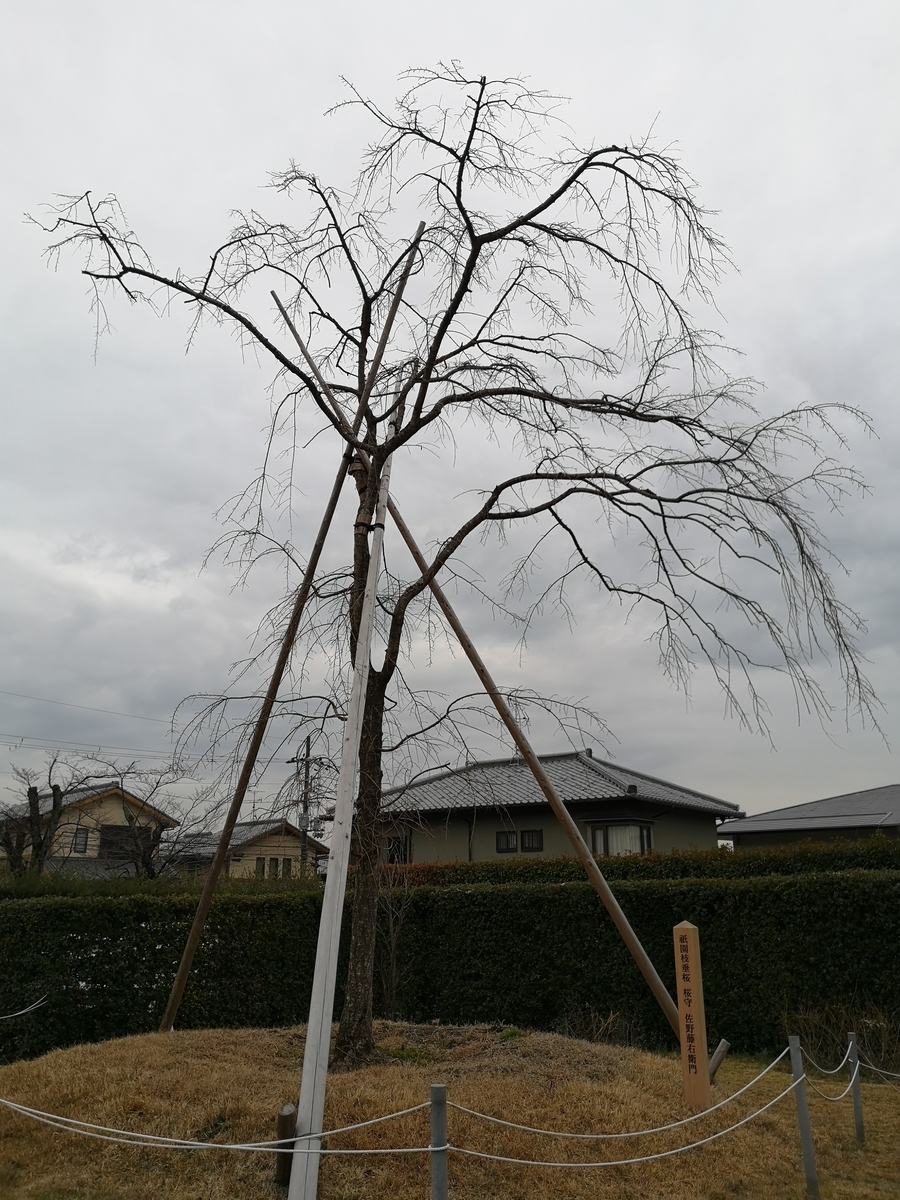 f:id:waterflower319:20200112124419j:plain f:id:waterflower319:20200112124419j:plain