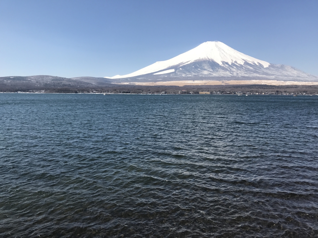f:id:waterlily03:20170322091204j:plain f:id:waterlily03:20170322091204j:plain