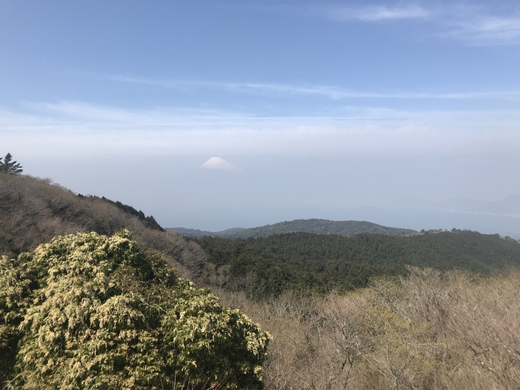 f:id:waterlily03:20180326134231j:plain f:id:waterlily03:20180326134231j:plain