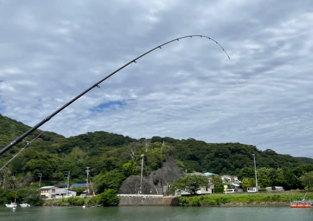 ハートランド 702UL+FS-ST23 インプレ - Trip to the Waterside 〜梅の
