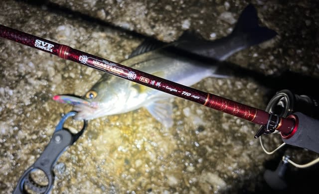 HEARTLAND 710別誂冴掛　ダイワ　ハートランド Daiwa HEARTLAND 別誂冴掛 710AGS 2ndインプレ - Trip to the