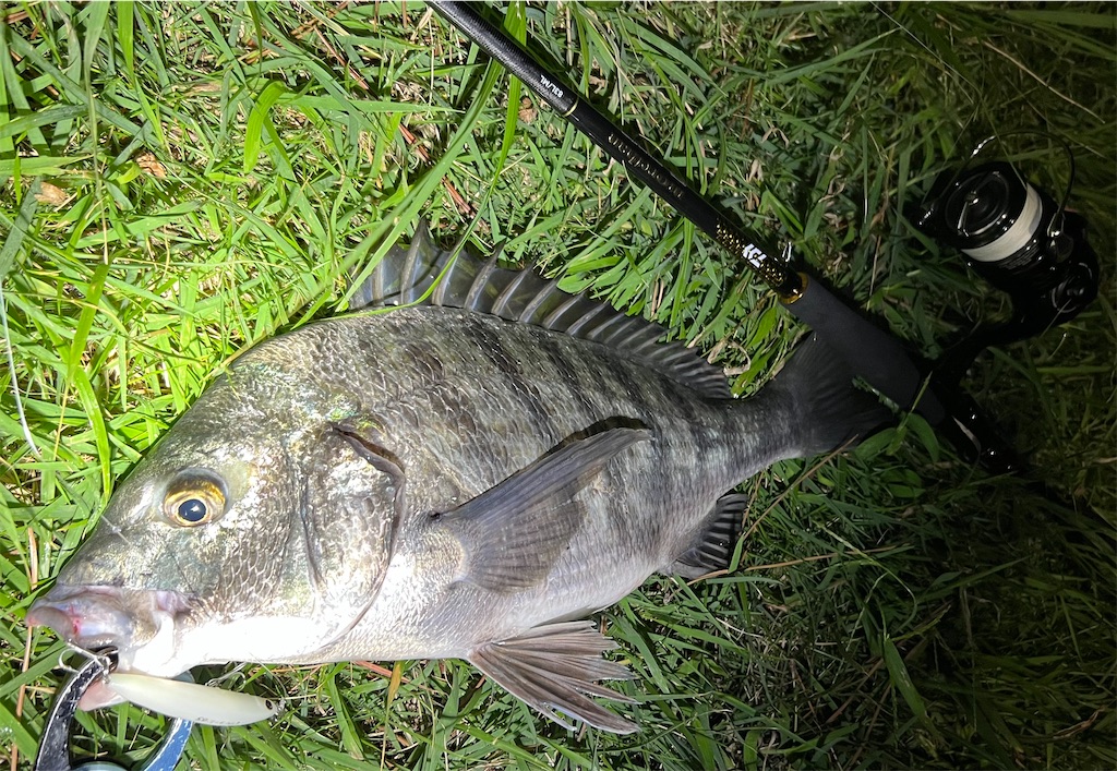 f:id:watershapedbox:20251021211255j:image