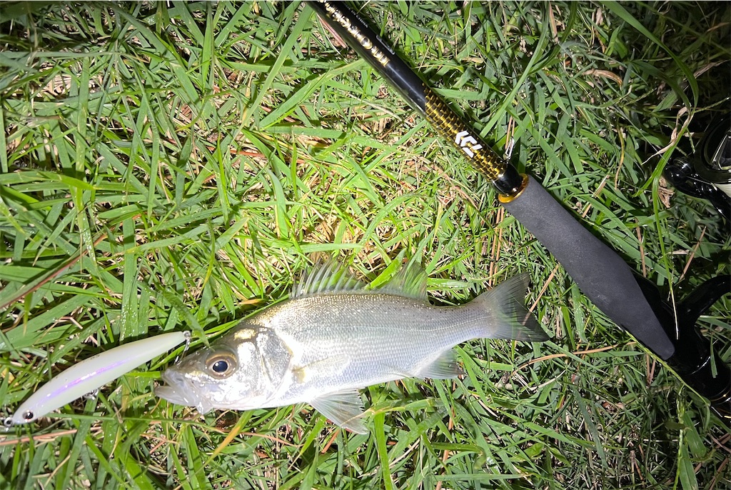 f:id:watershapedbox:20251021211311j:image