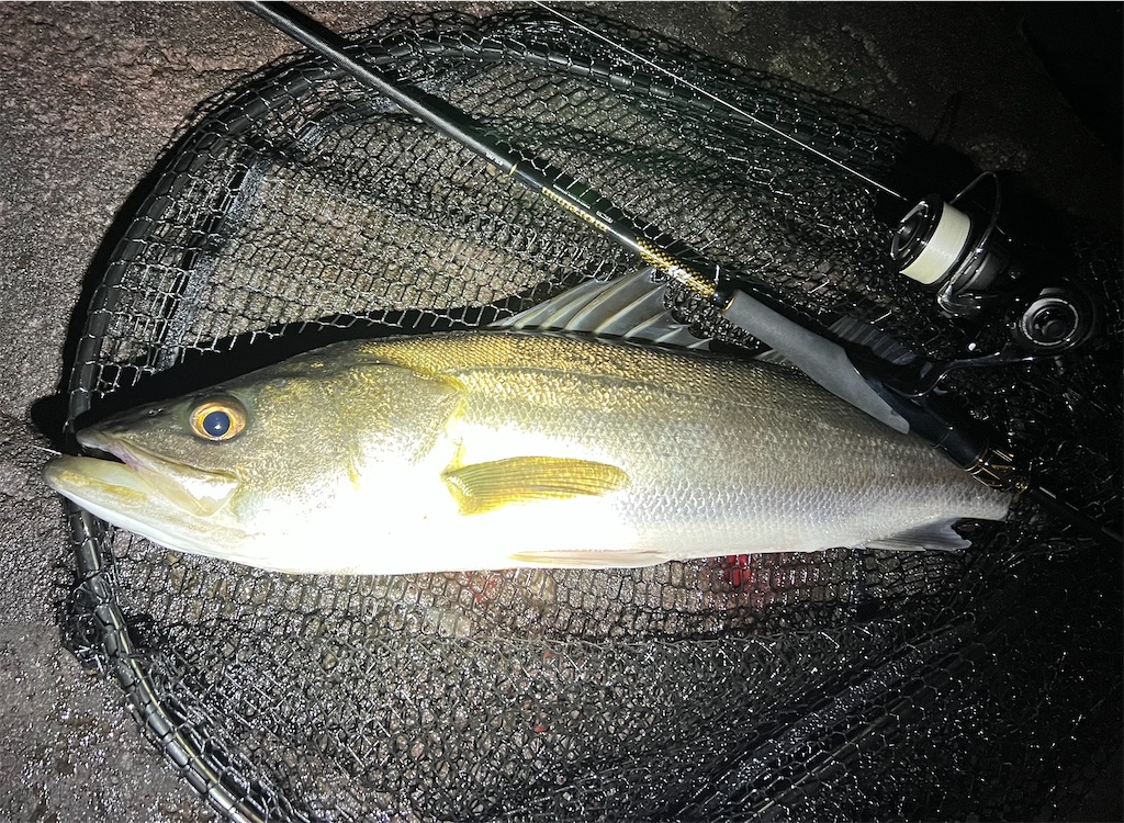 f:id:watershapedbox:20251021211400j:image