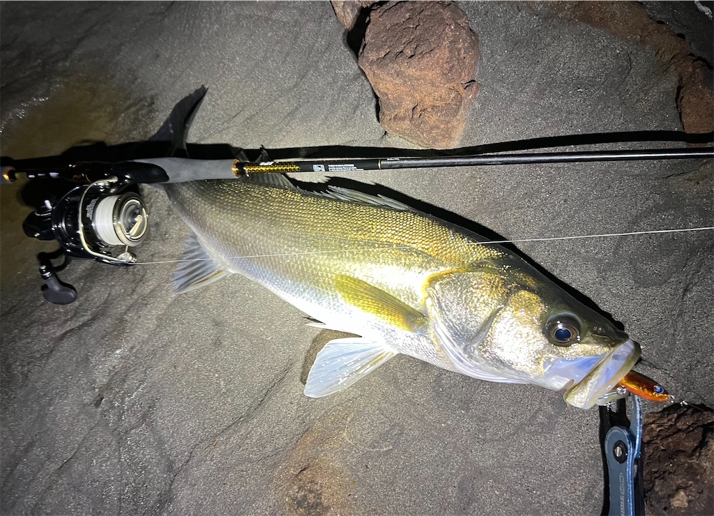 f:id:watershapedbox:20251021211411j:image