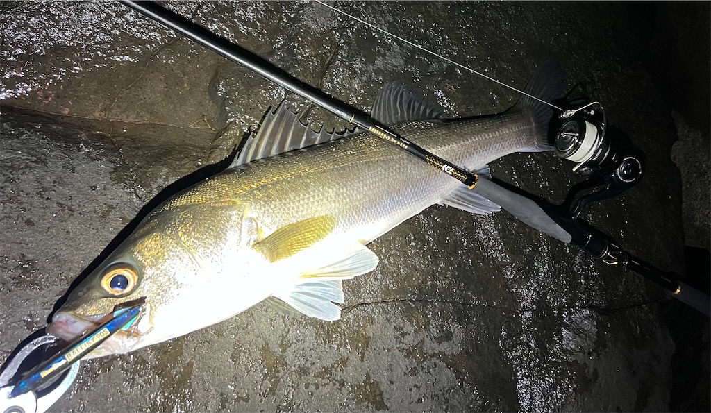 f:id:watershapedbox:20251021211422j:image