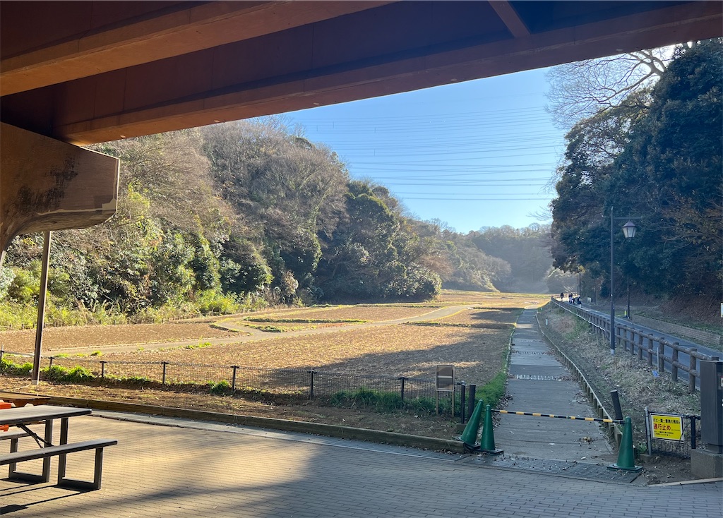 f:id:watershapedbox:20260111185017j:image