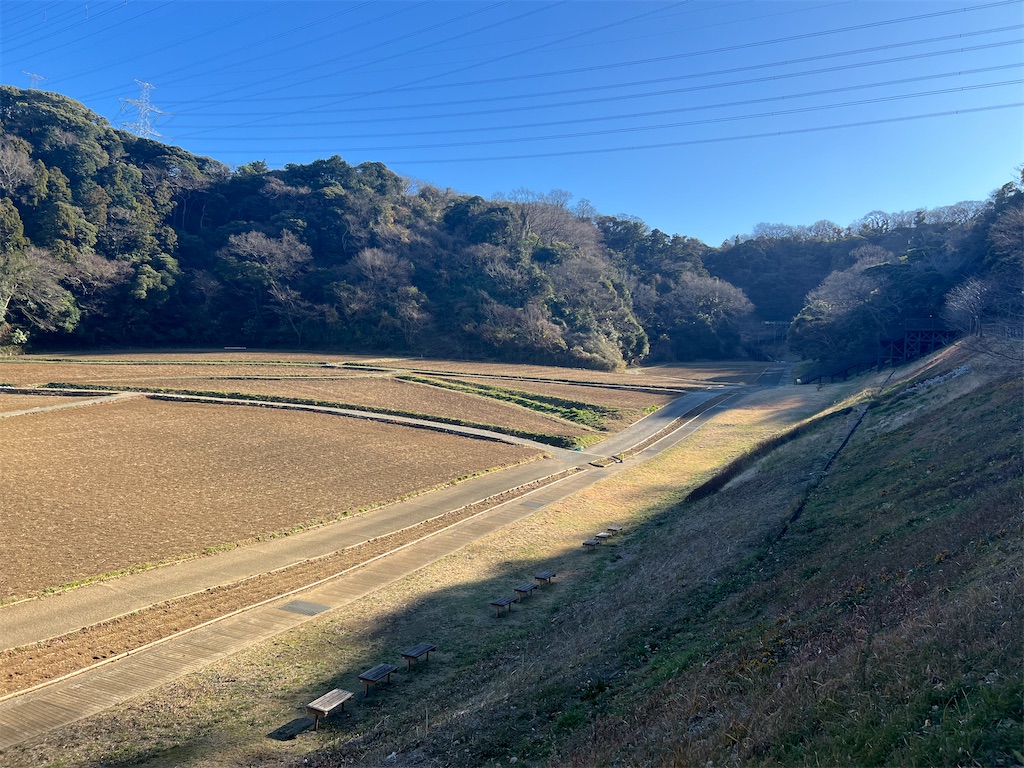 f:id:watershapedbox:20260111185033j:image