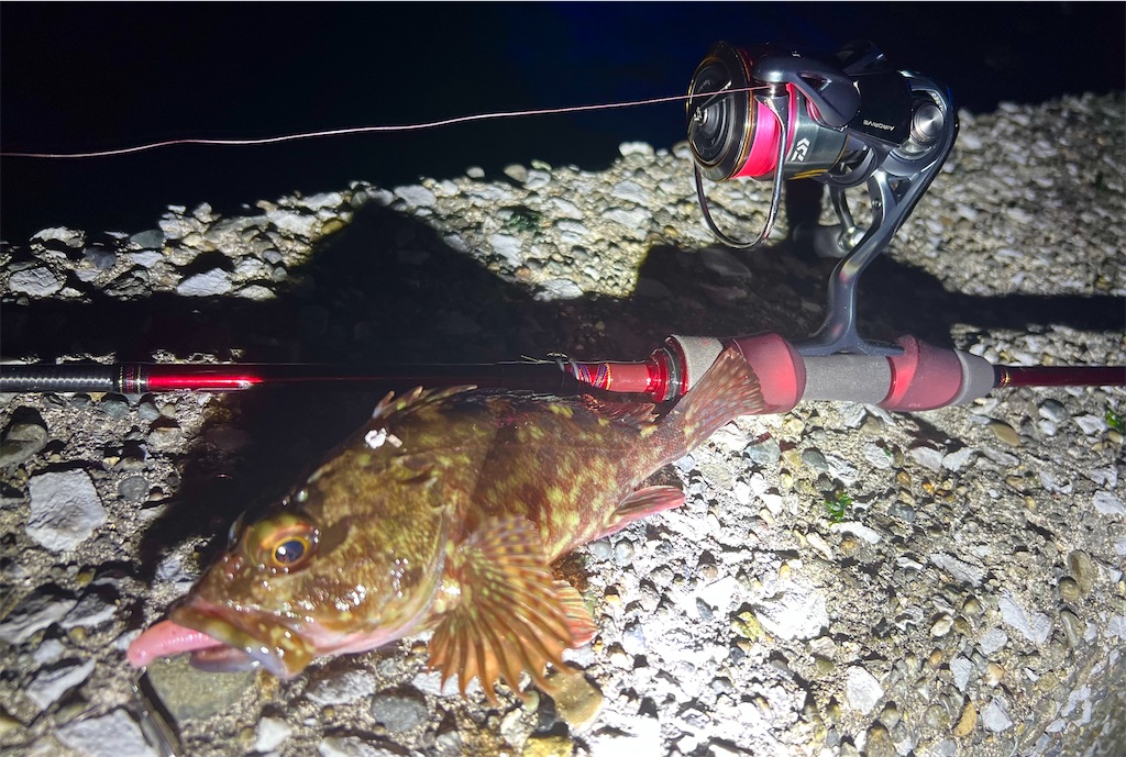 f:id:watershapedbox:20260115035622j:image