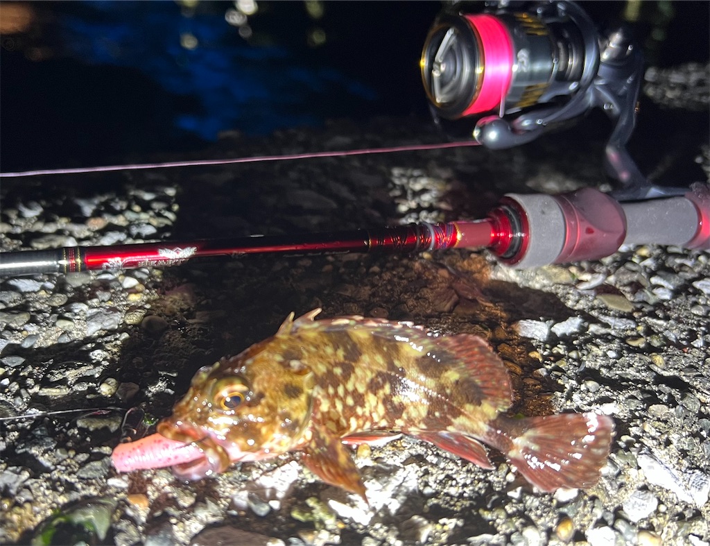 f:id:watershapedbox:20260115035627j:image