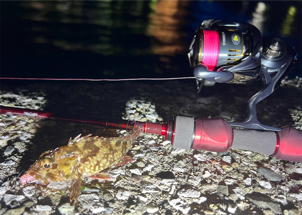 f:id:watershapedbox:20260115035634j:image