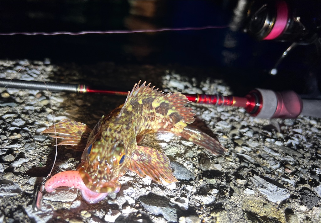 f:id:watershapedbox:20260115035641j:image