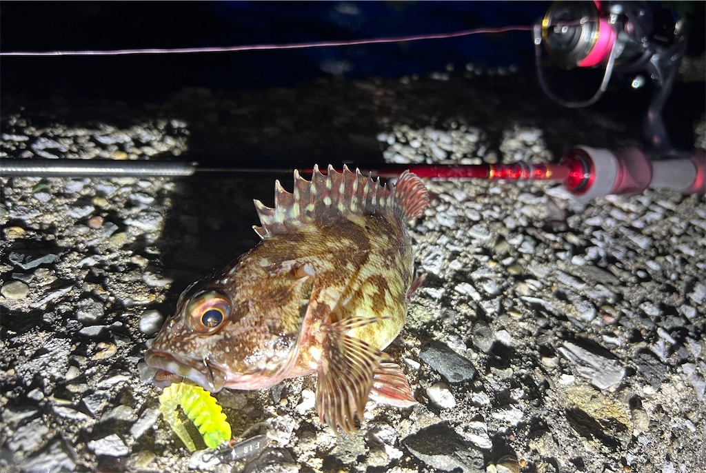 f:id:watershapedbox:20260115035654j:image