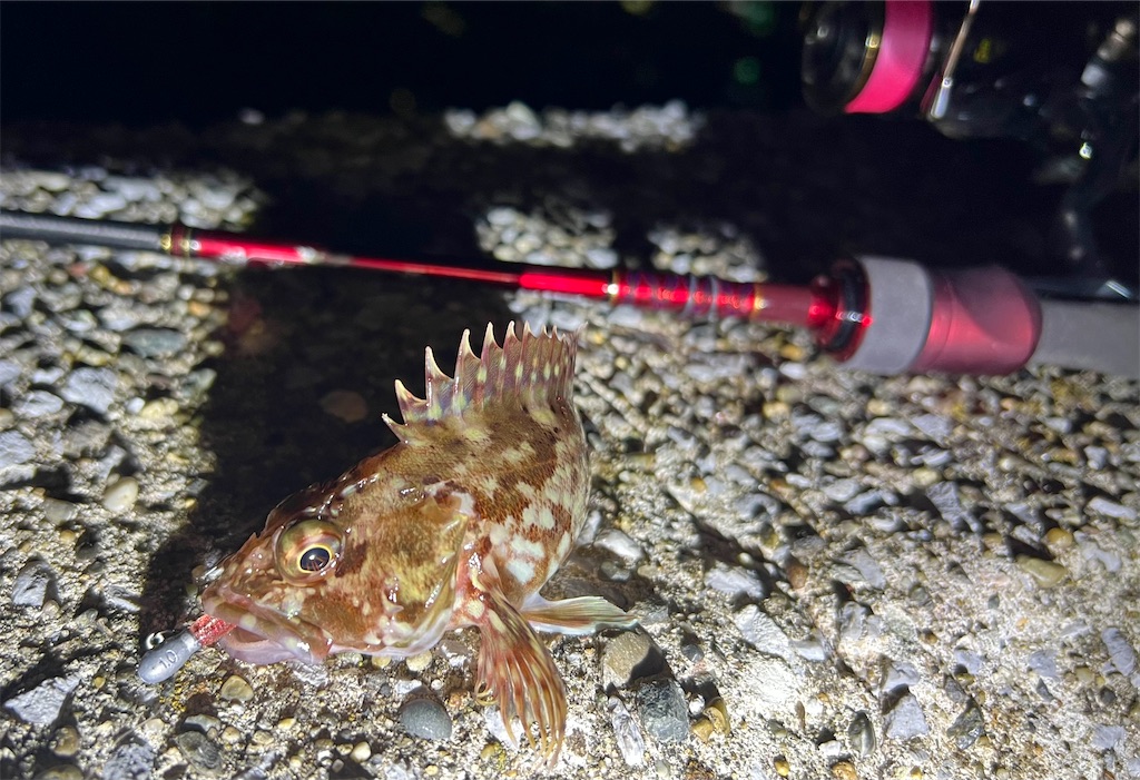 f:id:watershapedbox:20260115035704j:image