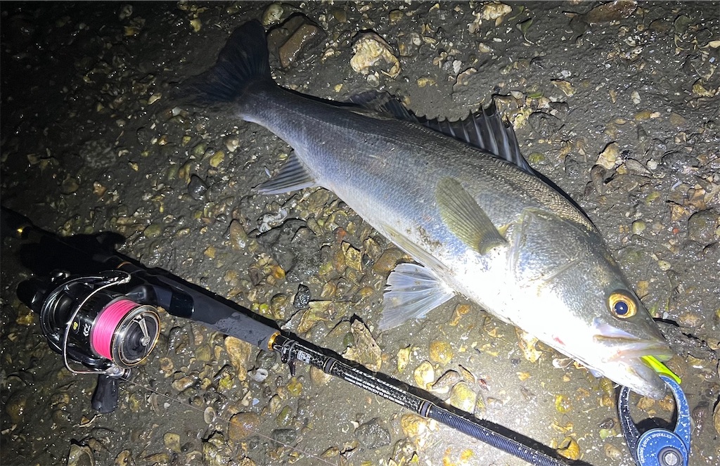 モアザンエキスパートAGS 76L/ML-SMT インプレ - Trip to the