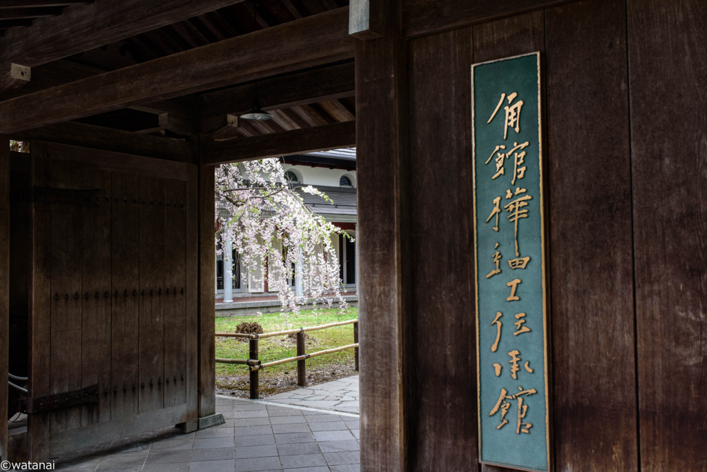 f:id:watnainai:20180507001950j:plain