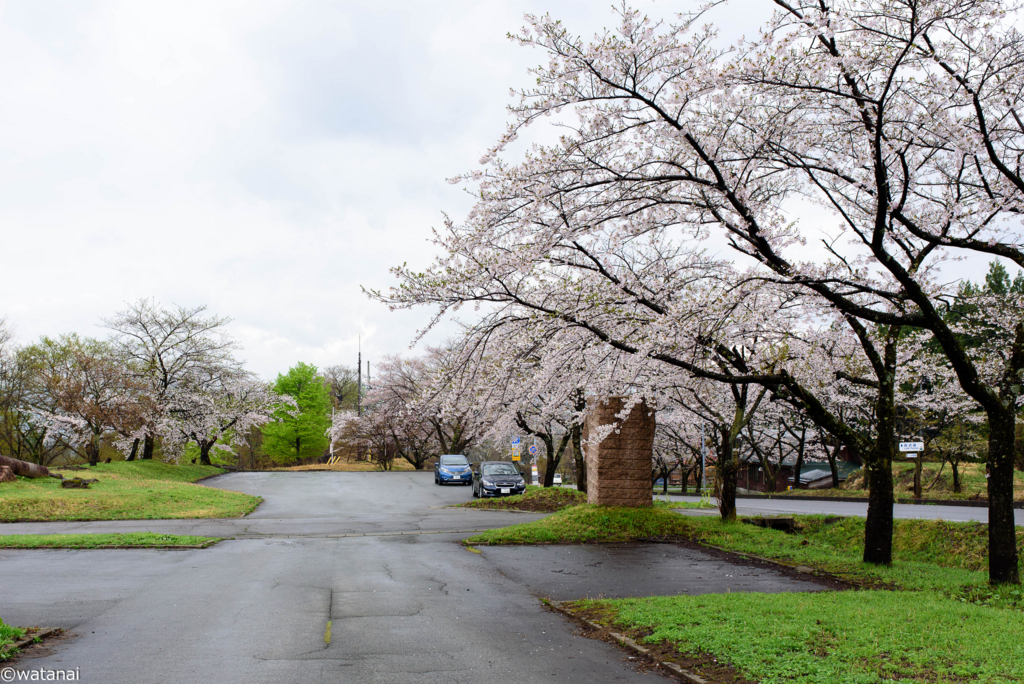 f:id:watnainai:20180507003359j:plain