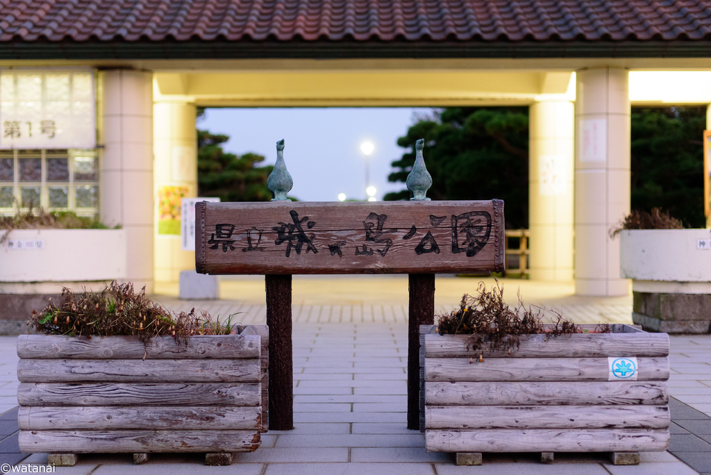 f:id:watnainai:20181009225836j:plain f:id:watnainai:20181009225836j:plain